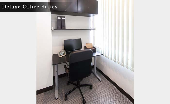 Deluxe Office Suites