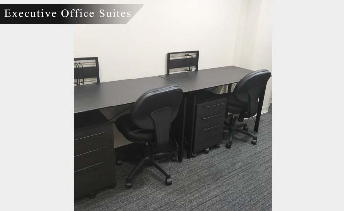 Executive Office Suites