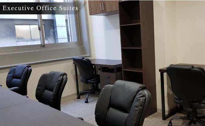 Executive Office Suites