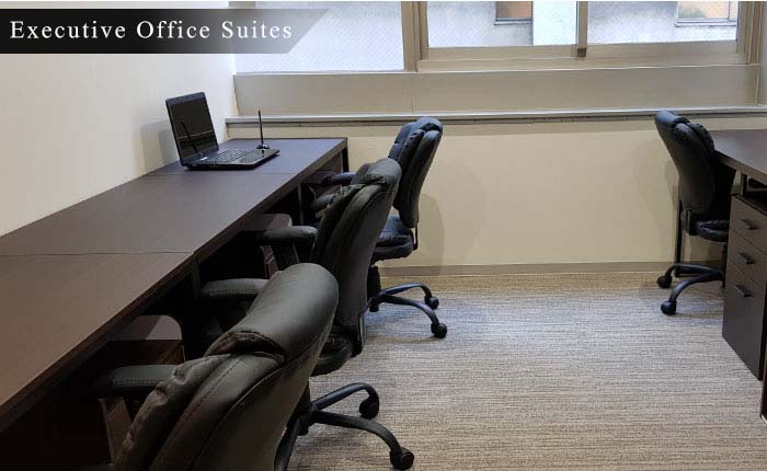 Executive Office Suites