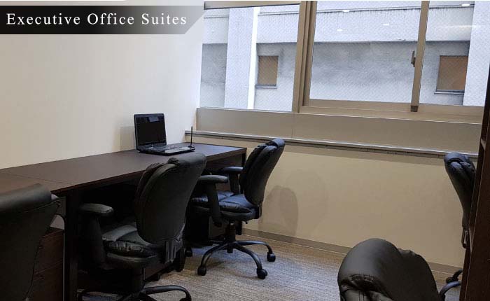 Executive Office Suites