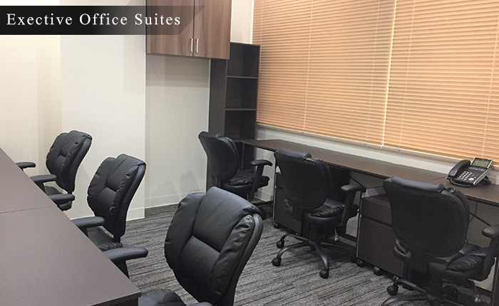 Executive Office Suites